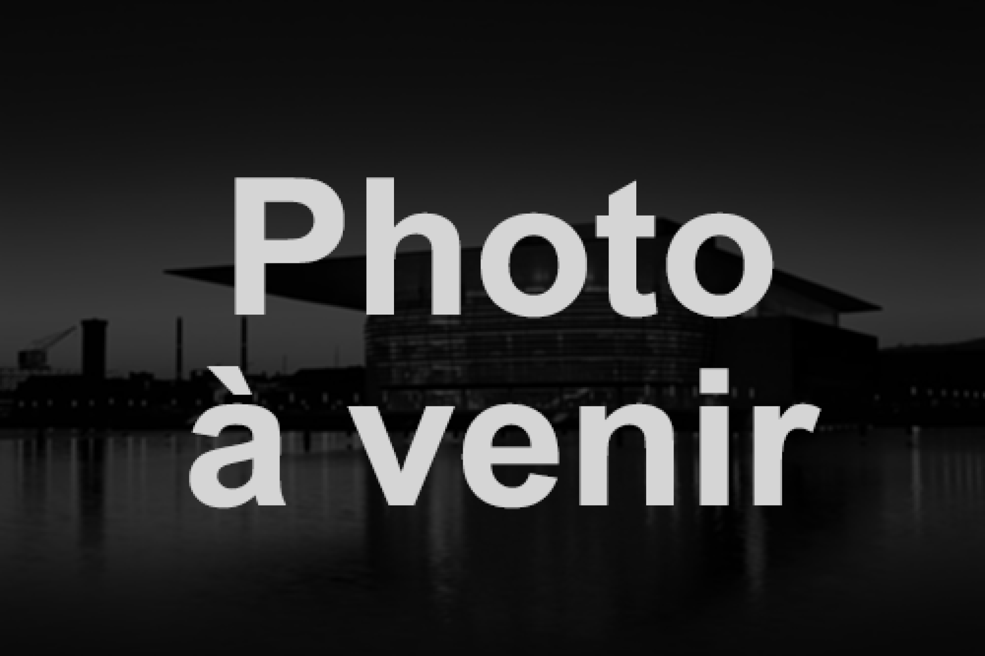 1257-3 rue Centenaire, St-Agapit — photo 1